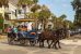 Charleston-Carriage-Ride